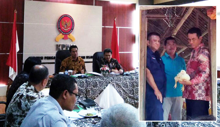 Revisi Permentan Patok DOC Rp4.800, Pasokan Peternak Besar dan Kecil `Fifty Fifty`